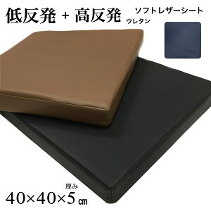 ᔽV[gNbV 40×40cm 5cm p   \tgU[ n ubN uE lCr[ Ɩp  h { TbƐ@ĂȒP 