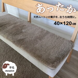 V[gNbV O ԗp[gV[g 㕔 [g Z t uE Ԃɂɂg  났 40×120 I[XgA 