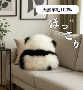 [g NbV wNbV xbhp \t@[p CeA u 킢 ӂ  45×50cm ݖ18cm p_ VR̂̂ 