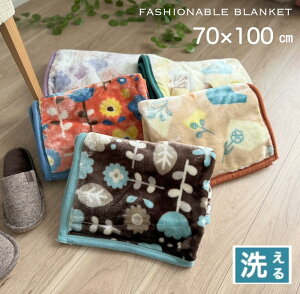 uPbg Ђ| ѕz k i`  􂦂 IW uE CG[x[W p[v u[ ۈ牀zc fXN[N 70×100cm 