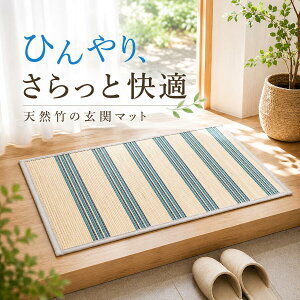 ���փ}�b�g ���� �| �V�R�| �u���[ �X�g���C�v ��60×90cm ���K �R�� �h�L �o���u�[ �|�}�b�g �T���b�� �������ȒP �V�R�f�� �V���v�� ����݂₷�� ������ �Ђ��� �����}�b�g �y�b�g�p�}�b