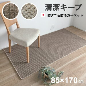 L~ 1 J[ybg O~ h h d h_j R  L [v x[W uE { VR[ Cv NeN 85×170cm 