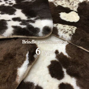 [g Z t V[gNbV  킢 zc `FApbh Ԃ  VR̂ _ mg[ 40×40cm 