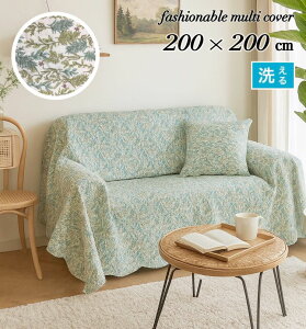 }`Jo[ ` Lg LeBO 􂦂  O[ [t Rbg |zc xbhXvbh ʓ o[Vu 200×200 ݌Ɍ EE2440 