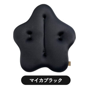 CuCuエクボ キュービーズ キュッキュッ 車用 腰用クッション インテリア ソファー ビーズクッション モカ キャロット 藍 ブラック クッション ギフト 腰痛対策 姿勢 デスクワーク