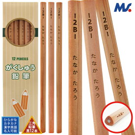 1ダースから送料無料名入れ 鉛筆 普通郵便 送料無料 日本製 鉛筆 名入れ 鉛筆 2B がくしゅう 3角鉛筆 2B 12本木軸 入学祝 三角鉛筆 名入れ無料鉛筆 名入れ 国産 ひらがな 漢字 sotsuen gks (郵14 2個ネ jpn