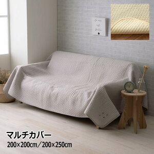 }`Jo[ Cu 100 􂦂 Vv i` LeBO \ I[V[Y \t@Jo[ xbhJo[ |