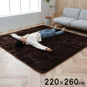 O ~zc 220×260cm LO 􂦂 ` 唻 n J[ybg ӂ {[O h ۉ