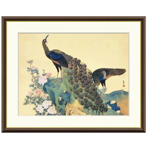 A[gzG ~R OE} 󒍐Y ׍I| ʕF   t[t COpكX^C