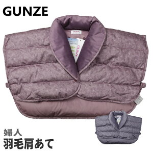 H  MTCY wl fB[X { GUNZE O[ ƒłOK _E80 yĒg