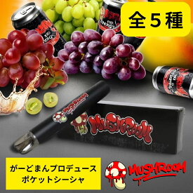 【5と0のつく日限定クーポン＆全品ポイント2倍！2/15】がーどまんプロデュース ポケットシーシャ マッシュルーム MUSHROOM 持ち運び ニコチン0 タール0 シーシャ 電子タバコ 禁煙 本体