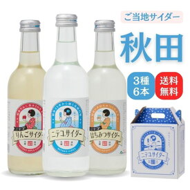 【送料無料】秋田ご当地サイダー　詰合せ「ニテコサイダー3種6本セット」【ギフト グルメ お歳暮 内祝い 出産 結婚 誕生日プレゼント お返しにおすすめ！美郷町名産品！】