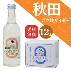 【送料無料】秋田ご当地サイダー「ニテコ」はちみつサイダー12本入【ギフト グルメ お歳暮 内祝い 出産 結婚 誕生日プレゼント お返しにおすすめ！】