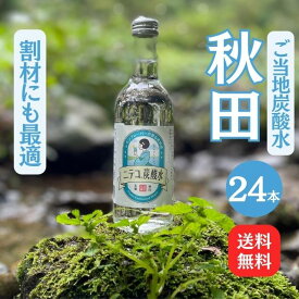 【送料無料】【秋田県】割り剤に最適！「ニテコ炭酸水24本入」【ギフト グルメ お歳暮 内祝い 出産 結婚 誕生日プレゼント お返しにおすすめ！美郷町名産品！】
