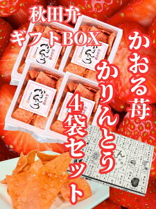낤ǂEl Ƃ  4 Hc MtgBOX