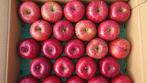 y z ь50Nȏ 㓡 `ь 󏭕i ㊮n gH ㊮nӂ Hה 18`24 p 5kg y萔ʁz