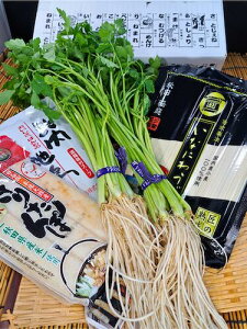 yzHcكMtgBOXɌÐ_O֎Y2n{1܏HcY܂gp肽3{1܍Ygp낤ǂ؂藎Ƃ250g 3lO1܂ZbgC