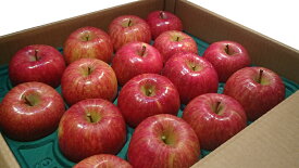 【送料無料 】林檎一筋50年以上 後藤苹治農園 贈答用 樹上完熟ふじ 18〜24玉 5kgくらい