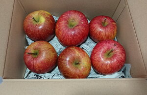 yz㊮nӂ ь50Nȏ 㓡䙎_ 󂠂i 6TCY