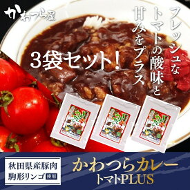 湯沢市 駒形林檎 トマト 使用 川連運送 かわつらカレー トマトプラス3袋セット