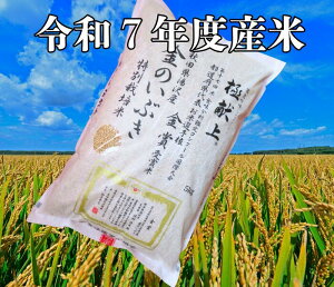 yzߘa7Nx n_ _@ ʍ͔|č@\ ̂Ԃ 5kg