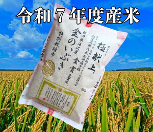 yzߘa7Nx n_ _@ ʍ͔|č@\ ̂Ԃ 2kg