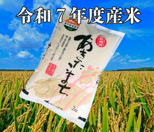 yzߘa7Nx n_ _@ ʍ͔| ܂ 2kg