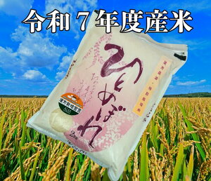 yzߘa7Nx n_ _@ ʍ͔|ĂЂƂ߂ڂ 2kg