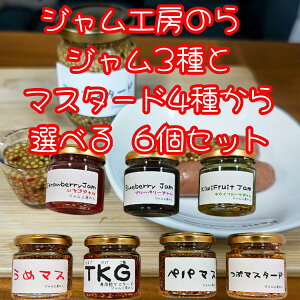 WH[̂ W3ƃ}X^[h4킩Iׂ6Zbg