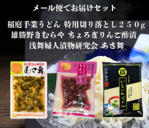 送料無料 浅舞婦人漬物研究会 あさ舞 と 雄勝野きむらやちょろぎりんご酢漬 稲庭手業うどん切り落とし250g セット メール便でお届けします