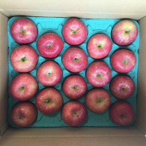 HcY ӂ STCY 18 pys  v[g ʌ Εz