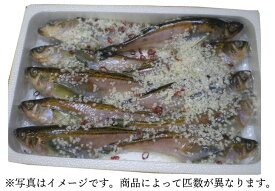 子持ちはたはた　三五八漬け（800g）