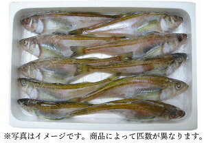q͂͂Ⓚii800gj