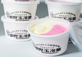 ＜おいしい秋田大物産展 千彩万食 対象商品＞　児玉冷菓のババヘラアイスカップ　二色カップ9個セット　（秋田県 秋田 ババヘラ 男鹿 アイス ギフト お中元 お歳暮 贈り物 キッズ)