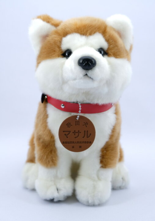 楽天市場 公益社団法人秋田犬保存会秋田犬マサルぬいぐるみ 座りmサイズ 秋田県物産振興会楽天市場店
