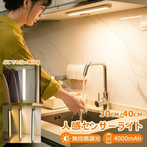 yǂłЂ^ZT[CgI4000mAhFzLEDZT[Cg ZT[Cg  lZT[Cg 3iKF iK ŒZ10ԘA_ Type-C[d 30cm 40cm x