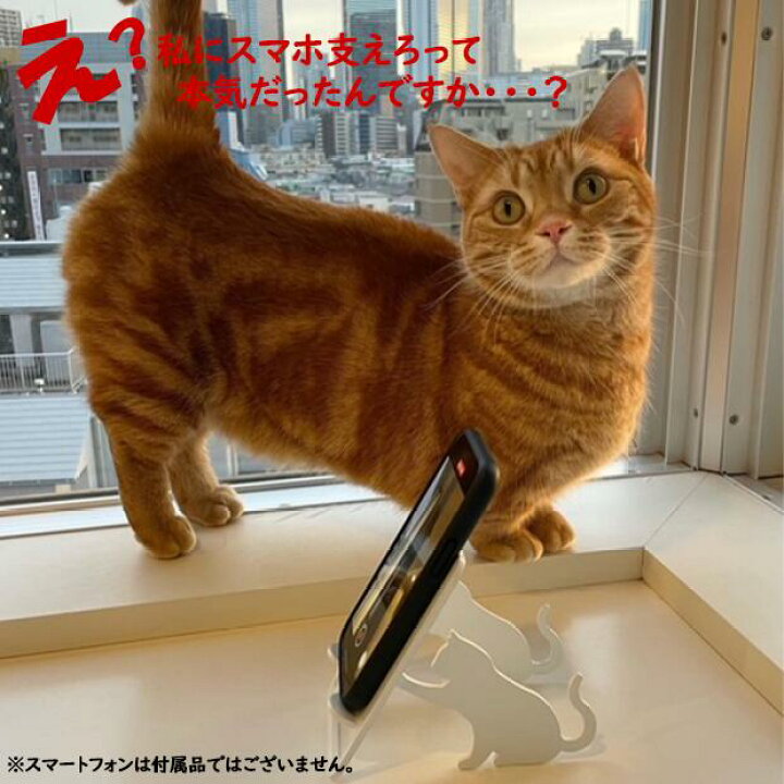 楽天市場】スマホスタンド かわいい おしゃれ ベッド 猫 送料無料 日本 