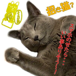 X}zX^h 킢  L L  {  蕨 Mtg a j ܂˂˂is[X^Cvj X}z iPhone x܂BS 芴A X}