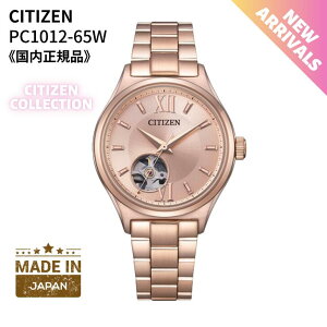 �V�`�Y�� CITIZEN �r���v �@�B�� ������(�芪�t��) �T�t�@�C�A�N���X�^�� PC1012-65W �����Y�m�������K�i�n