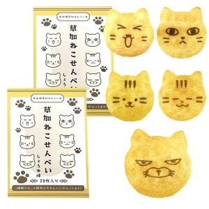 L َq {ꑐ˂ׂ ݖ 20  Y邿 L̊^  َq v`Mtg C[X^[ ̓  Ԃ v[g Mtg  lR^َq 
