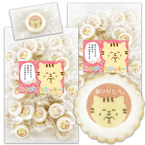 ˂̂肪ƂNbL[ 1 50(50)` 肪Ƃ َq   L ̓  XC[c Ԃ  rXPbg ACVONbL[ v[g v`Mtg  