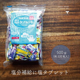 楽天市場 熱中症 タブレットの通販