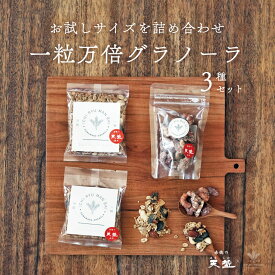 グラノーラ 45g ソルティメープル ローズマリー ハニーバターナッツ 50g　3点セット ミックスナッツ 一粒万倍グラノーラ 赤穂の天塩 おやつ おつまみ お菓子 ギフト プチギフト 贈答 手土産 結婚式 帰省 土産 お取り寄せ