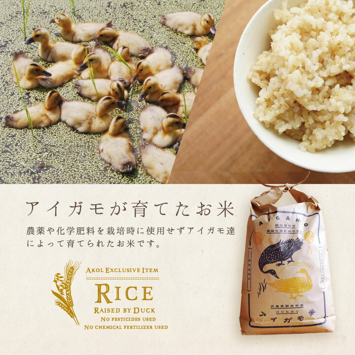 楽天市場】新米 米 10kg アイガモ米 玄米 令和7年度産 コシヒカリ 栽培 