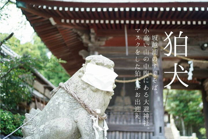 楽天市場 清め塩 1kg 3袋 合計3kg 大避神社 土用の塩 厄除けの塩 大避の塩 お清め お清めの塩 おきよめ 塩 魔除けの塩 パワースポット おはらい やくよけ 国産 パワーストーン 厄払い やくばらい 盛り塩 もり塩 玄関 店舗 神具などは付属しません 海洋深層水の 楽天市場 清め塩 1kg 3袋 合計3kg 大避神社 土用の塩 厄除けの塩 大避の塩 お清め お清めの塩 おきよめ 塩 魔除けの塩 パワースポット おはらい やくよけ 国産 パワーストーン 厄払い やくばらい 盛り塩 もり塩 玄関 店舗 神具などは付属しません 海洋深層水の