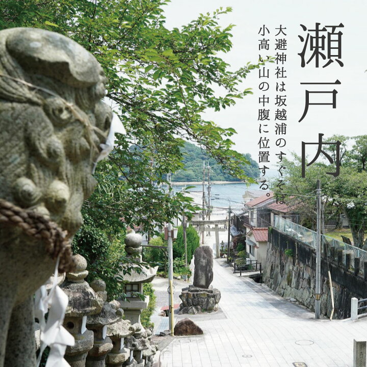 楽天市場 清め塩 808g 神具セットランキング1位 大避神社 大避の塩 お清め お清めの塩 おきよめ 祈祷 塩 国産 厄払い やくばらい 盛り塩 もり塩 玄関 店舗 厄除け お祓い 魔除けの塩 メール便 送料無料 祈祷済みのお札が付属します 神具は付属しません 海洋