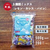 塩タブレット 業務用 塩分タブレット 500g 約220粒 大容量 塩分 タブレット 3種のフレーバー レモン味 カ…