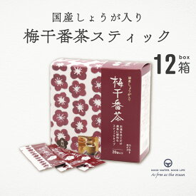 梅干し番茶スティック 8g 20個入り 12箱 スティック 無双本舗 梅醤番茶 梅肉 生姜 国産 国産しょうが入り ムソー