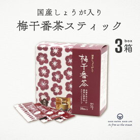 梅干し番茶スティック 8g 20個入り 3箱 スティック 無双本舗 梅醤番茶 梅肉 生姜 国産 国産しょうが入り ムソー