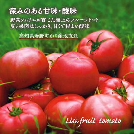 フルーツトマト おかざき農園 リサ フルーツトマト リサフルーツトマト 高糖度 産地直送 1kg 12-20個 高知県産 贈り物 送料無料 トマト 高級